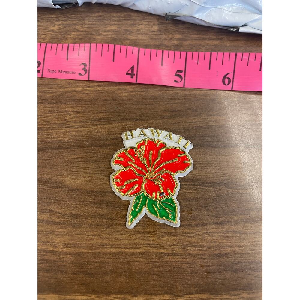 Hawaii Hibiscus Flower Fridge Magnet Red Tropical Souvenir Vintage Look Magnet